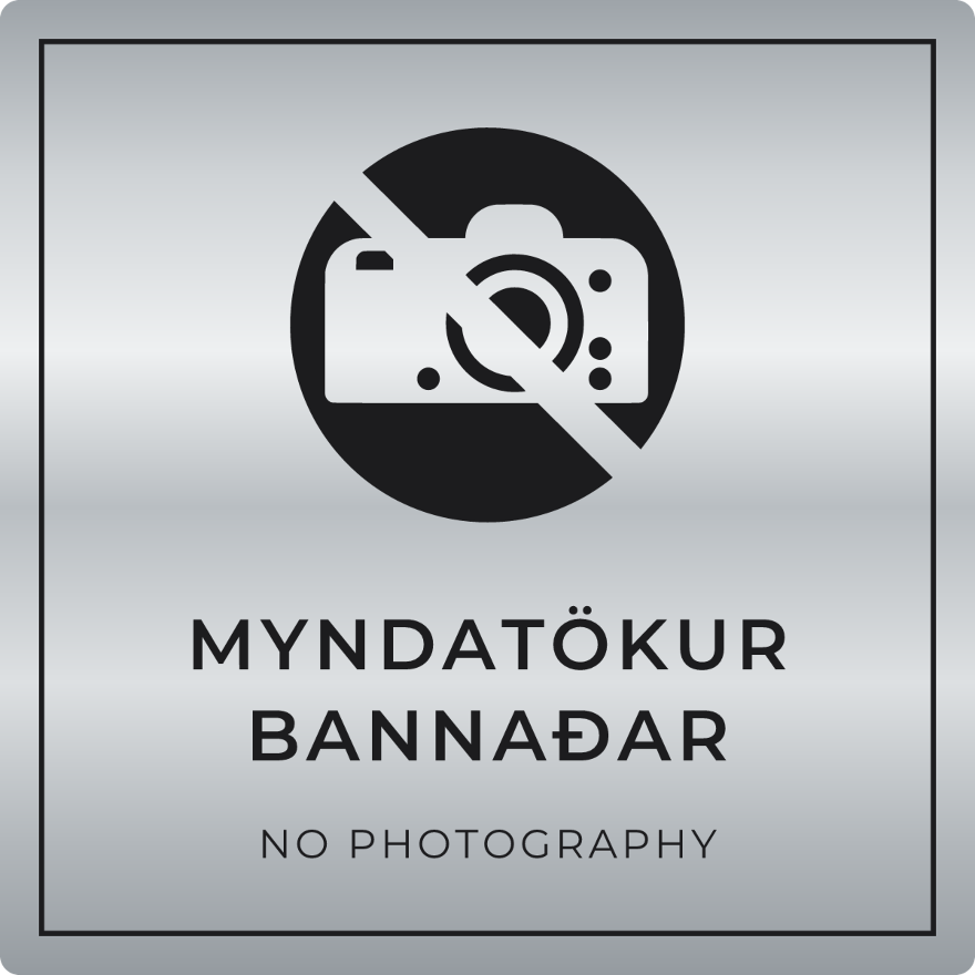 Myndatökur bannaðar - bannskilti, silfur