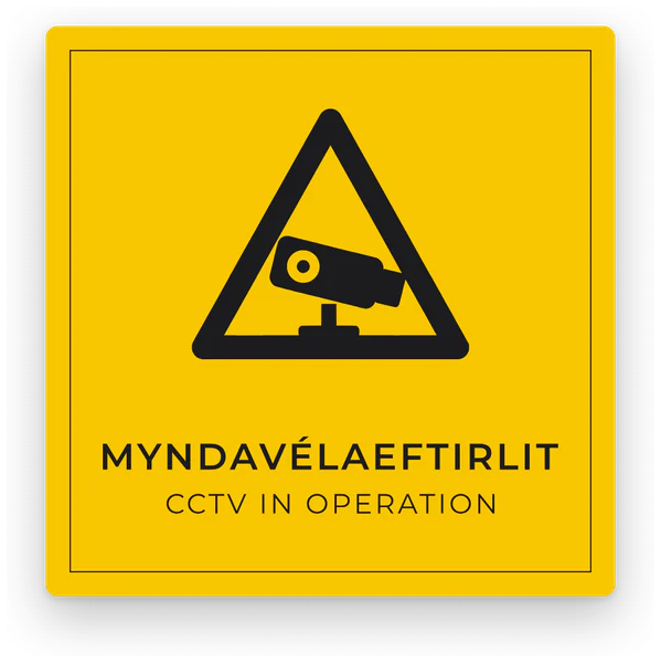 Myndavélaeftirlit